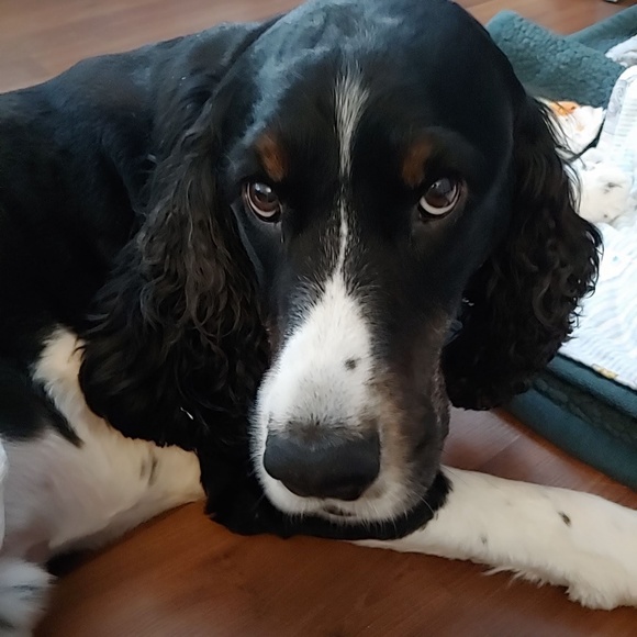 Greetings from Alaska! - Picture 6 of 7